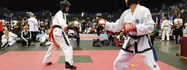 8 medali zdobytych na Mistrzostwach Świata Taekwon-do w Anglii!