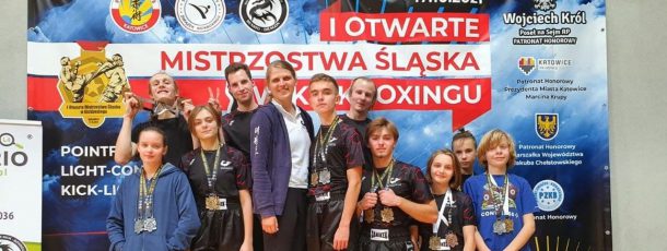 I Otwarte Mistrzostwa Śląska w Kickboxingu