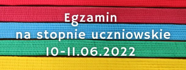 Egzamin na stopnie uczniowskie w taekwon-do