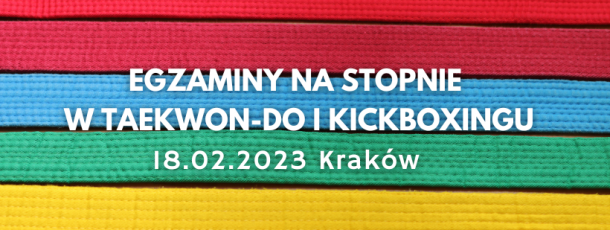 Egzaminy na stopnie w taekwon-do i kickboxingu